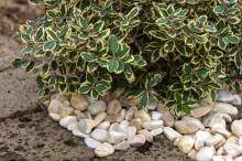 Notre zone d'activité pour ce service Vente de carrelage haut de gamme avec effet marbre blanc